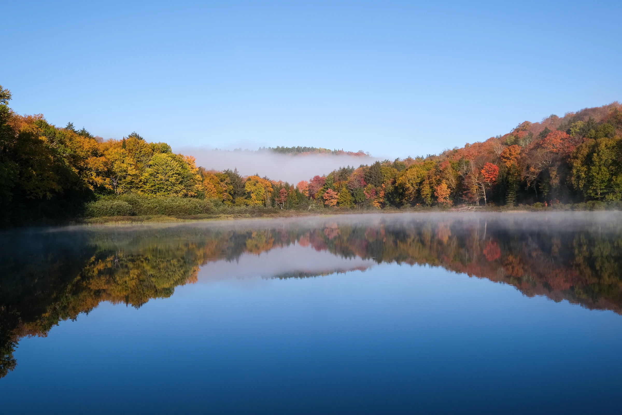 Morning fog drifting over a forested Ontario lake.